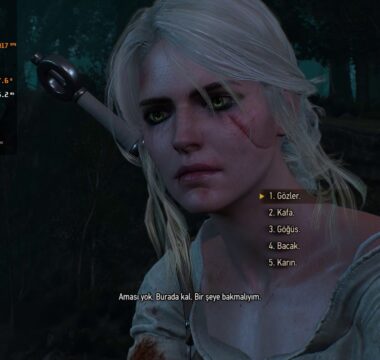 The Witcher 3 – 1660Super Ryzen5 1600 Ultra Graphics Test (FPS)