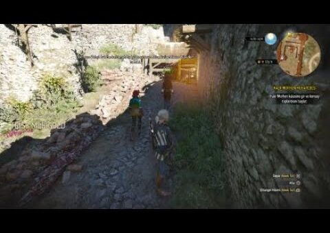 The Witcher 3: Ciri’yi kurtardıktan sonra