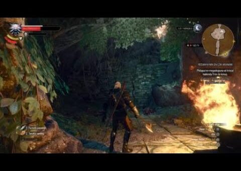 The Witcher 3: Kristal için pusu