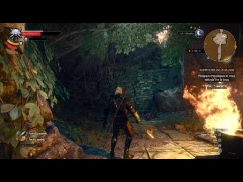 The Witcher 3: Kristal için pusu