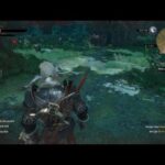 The Witcher 3: Mourntart Cadısı