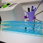 Evrimsel Biyolojide Modern Yöntemler ve Yeni Yaklaşımlar