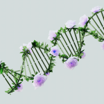 CRISPR gen düzenleme teknolojisi yatırımcıların odağında