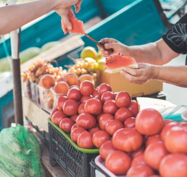 Çiftçinin Maliyet Yükü %43’ü Aştı: Elmada Üretici-Market Fiyat Farkı %379,3’e Fırladı