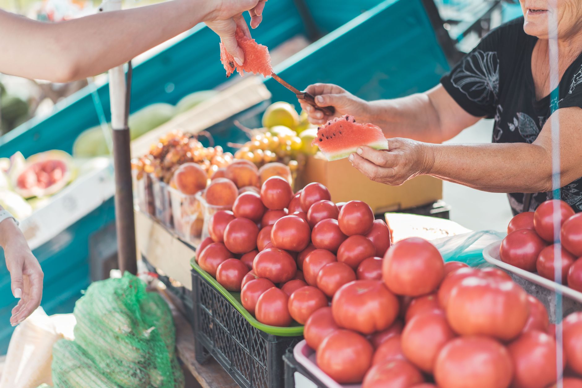 Çiftçinin Maliyet Yükü %43’ü Aştı: Elmada Üretici-Market Fiyat Farkı %379,3’e Fırladı
