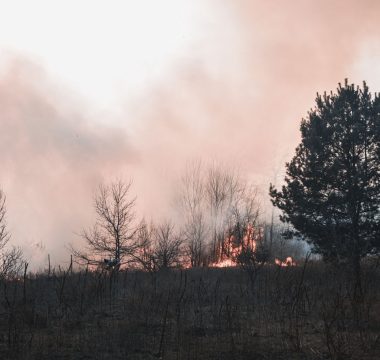 Okyanuslar Temmuz’da 20,96°C ile Rekor Kırdı: Avrupa’da Aşırı Yangınlar Başladı