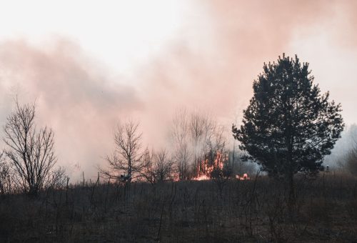 Okyanuslar Temmuz’da 20,96°C ile Rekor Kırdı: Avrupa’da Aşırı Yangınlar Başladı