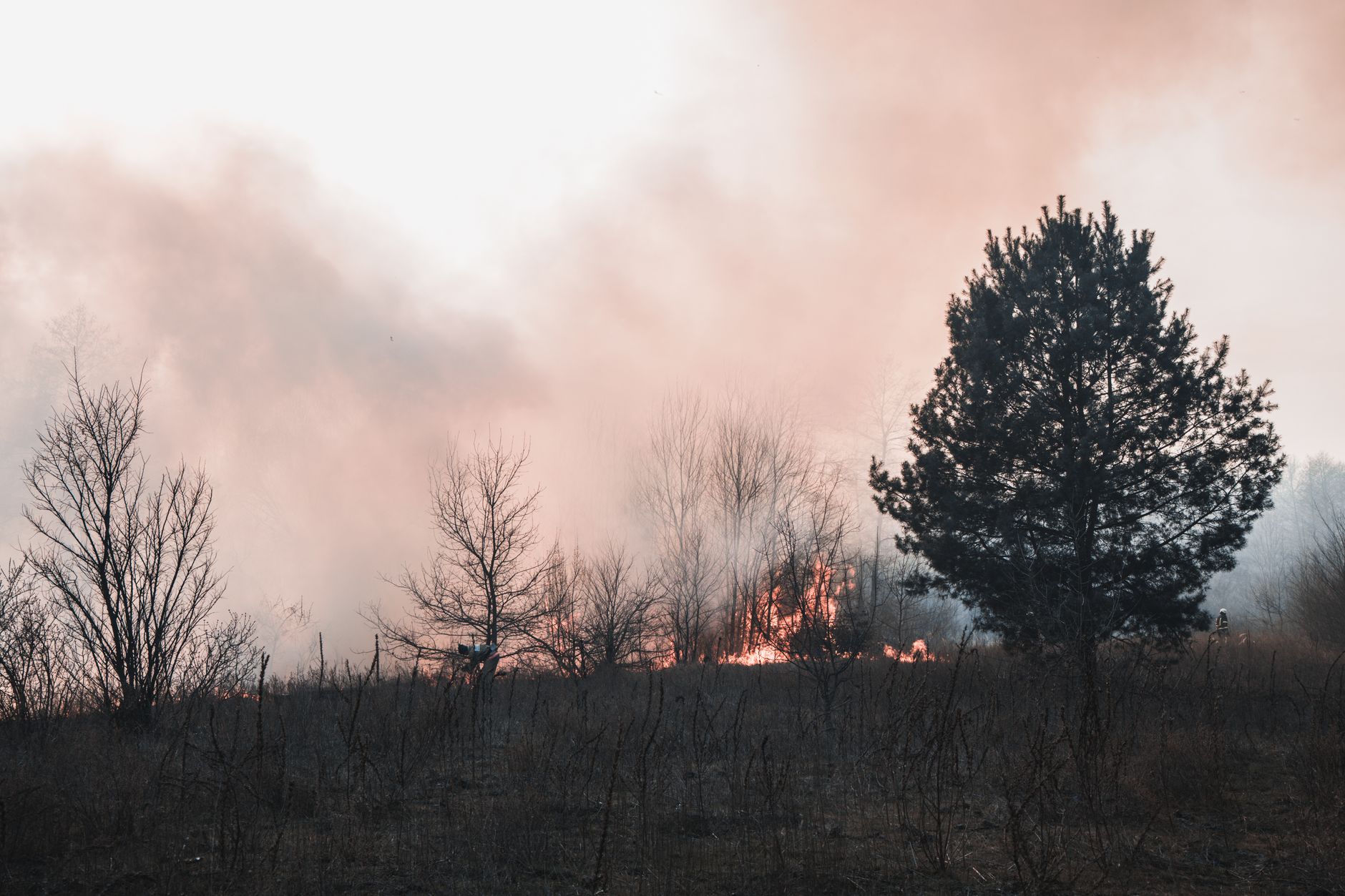 Okyanuslar Temmuz’da 20,96°C ile Rekor Kırdı: Avrupa’da Aşırı Yangınlar Başladı