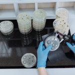 ABD’den Antibiyotik Direncine 5.7 Milyar Dolarlık Yasa Teklifi, Kanatlılarda Yeni Çözüm