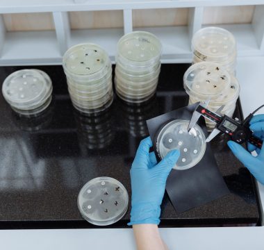 ABD’den Antibiyotik Direncine 5.7 Milyar Dolarlık Yasa Teklifi, Kanatlılarda Yeni Çözüm