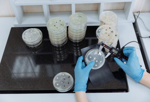 ABD’den Antibiyotik Direncine 5.7 Milyar Dolarlık Yasa Teklifi, Kanatlılarda Yeni Çözüm