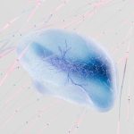 Neuralink’in ilk insan deneyi, beyin çipi eşzamanlılık sorunlarını ortaya çıkardı