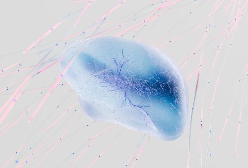 Neuralink’in ilk insan deneyi, beyin çipi eşzamanlılık sorunlarını ortaya çıkardı