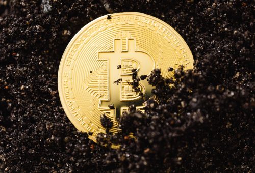 Term Finance ve Moonwell’den 17,5 Milyon Dolar Çalındı: Ağustos’ta DeFi’ye Büyük Darbe
