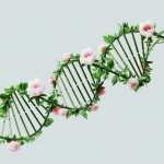 Intellia’nın HAE Tedavisi Lonvo-z FDA’dan Öncelikli İnceleme Aldı: %87 Başarı