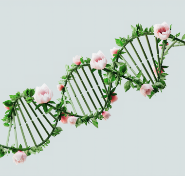 Intellia’nın HAE Tedavisi Lonvo-z FDA’dan Öncelikli İnceleme Aldı: %87 Başarı