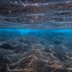 Challenger Deep’te Bilinmeyen Jeolojik Oluşum Bilim Dünyasını Şaşırttı