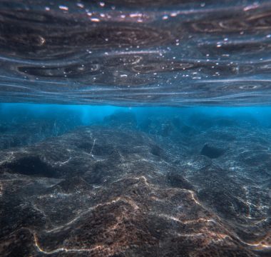 Challenger Deep’te Bilinmeyen Jeolojik Oluşum Bilim Dünyasını Şaşırttı