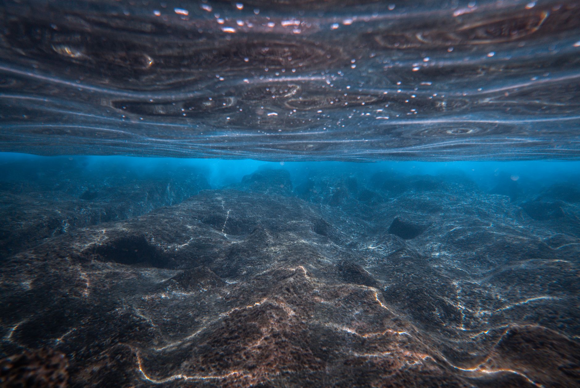 Challenger Deep’te Bilinmeyen Jeolojik Oluşum Bilim Dünyasını Şaşırttı