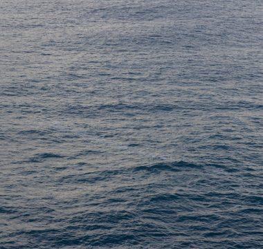 SpaceX Starship 14. uçuşunda ilk kez yörüngeye ulaştı: 26 Starlink uydusu bıraktı