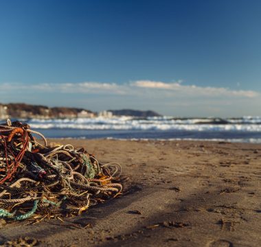The Ocean Cleanup 50 Milyon Kilogram Plastik Topladı: 2040 Hedefi %90 Azalma