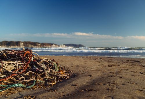 The Ocean Cleanup 50 Milyon Kilogram Plastik Topladı: 2040 Hedefi %90 Azalma