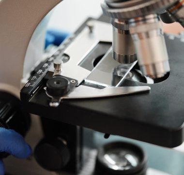 Beyinde Hafızayı Genç Tutan PLA2G2F Enzimi Keşfedildi: Alzheimer’a Karşı Yeni Dönem